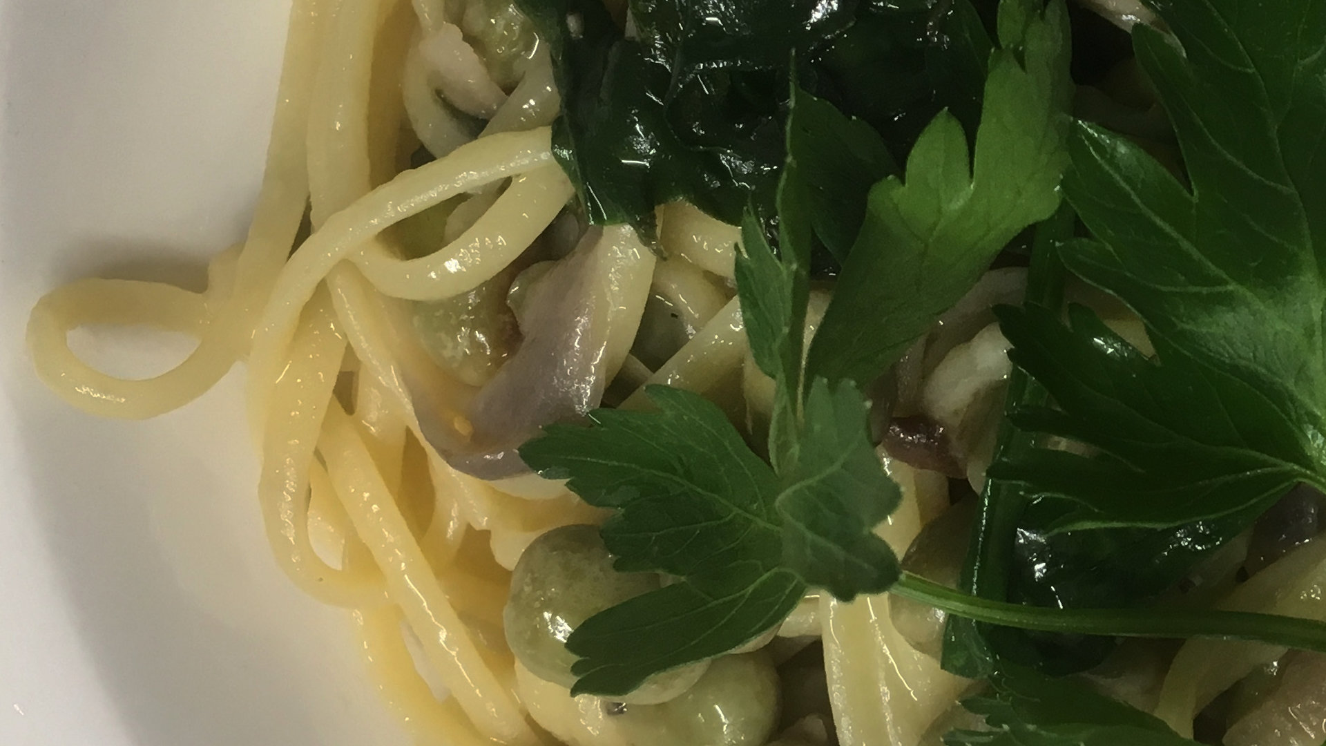 Privacy Policy Olive Tree Italian Restaurant Norfolk